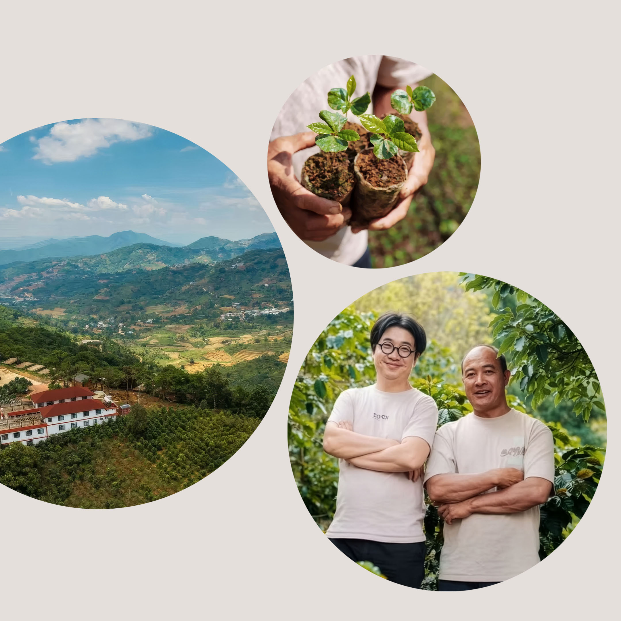Yunma — café du Yunnan