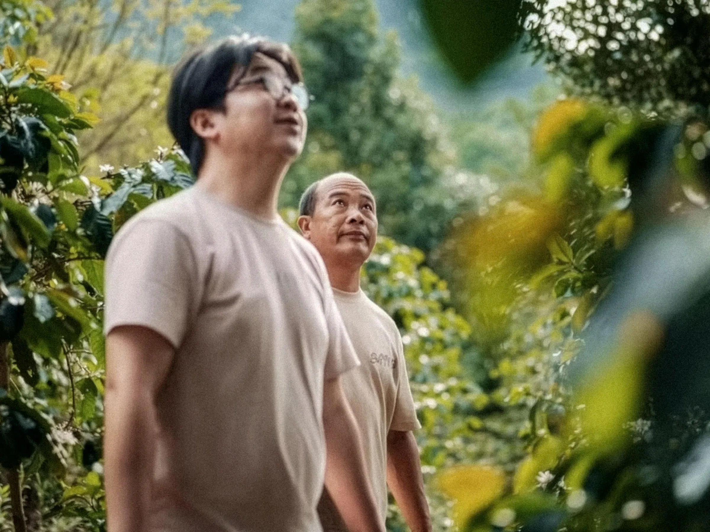 Two Torch Estate producers among the flowering coffee trees in Pu’er